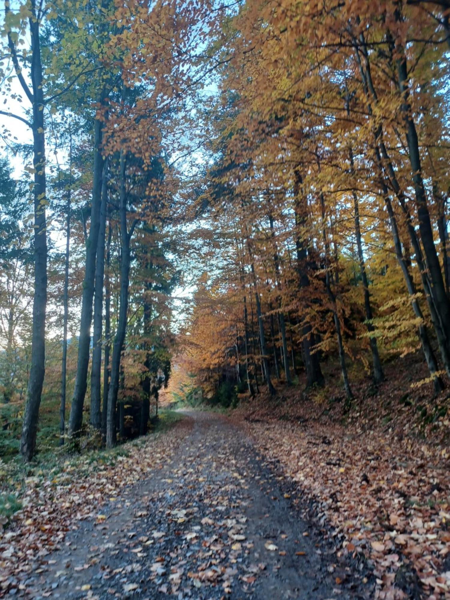 Na Skalce